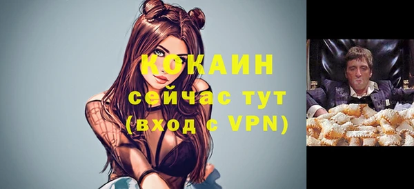 ГАЛЛЮЦИНОГЕННЫЕ ГРИБЫ Майский