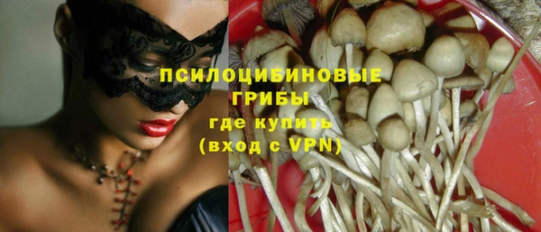 ГАЛЛЮЦИНОГЕННЫЕ ГРИБЫ Майский
