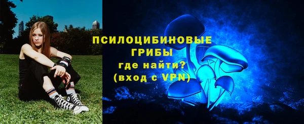 ГАЛЛЮЦИНОГЕННЫЕ ГРИБЫ Майский
