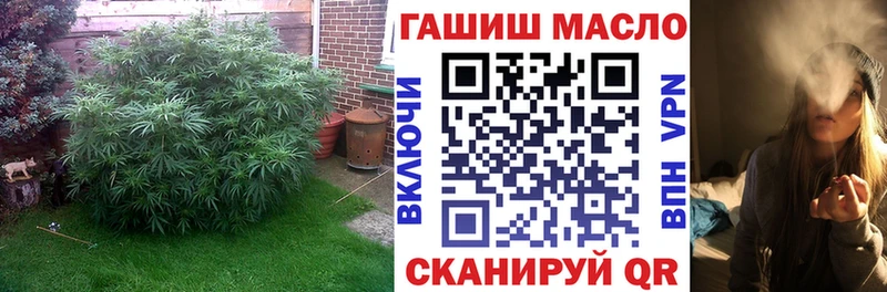 ТГК THC oil  Купить закладки  Кораблино 