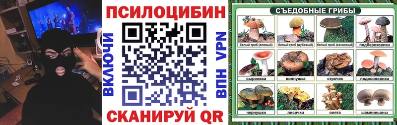 Галлюциногенные грибы GOLDEN TEACHER  Купить  Кораблино 